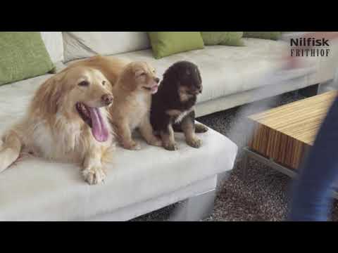 Load video: