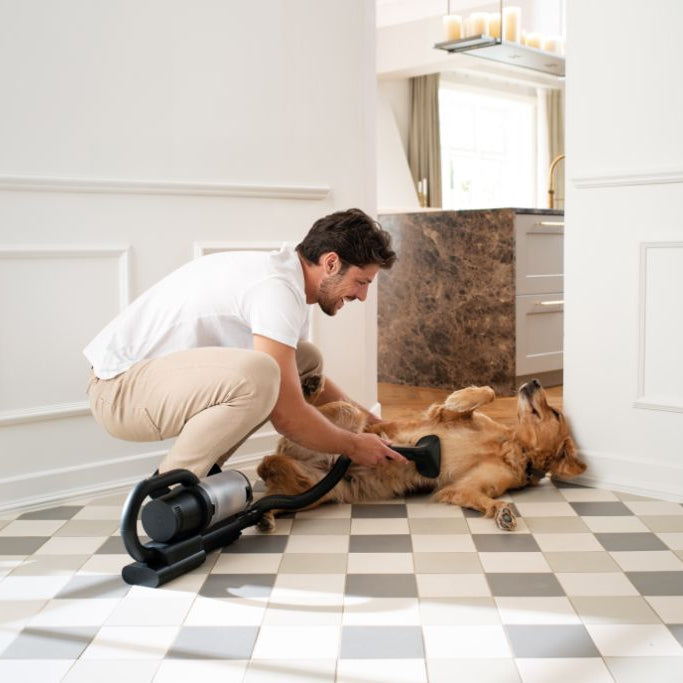 Vacuum cleaner attachment with steel spikes for S1 vacuum cleaners, being used on a dog in a home setting.