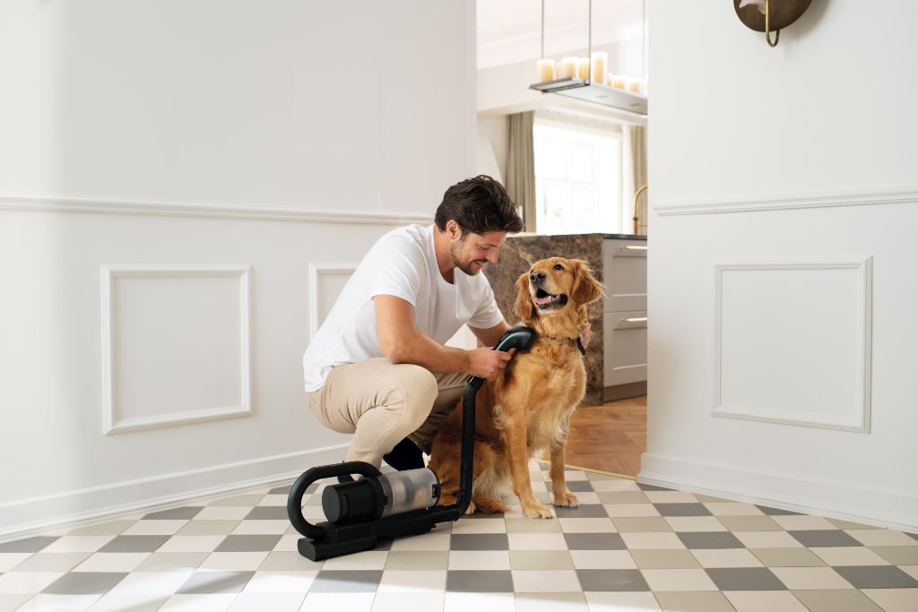 Vacuum cleaner attachment with steel pins for S1 vacuums, grooming a golden retriever in a modern home.